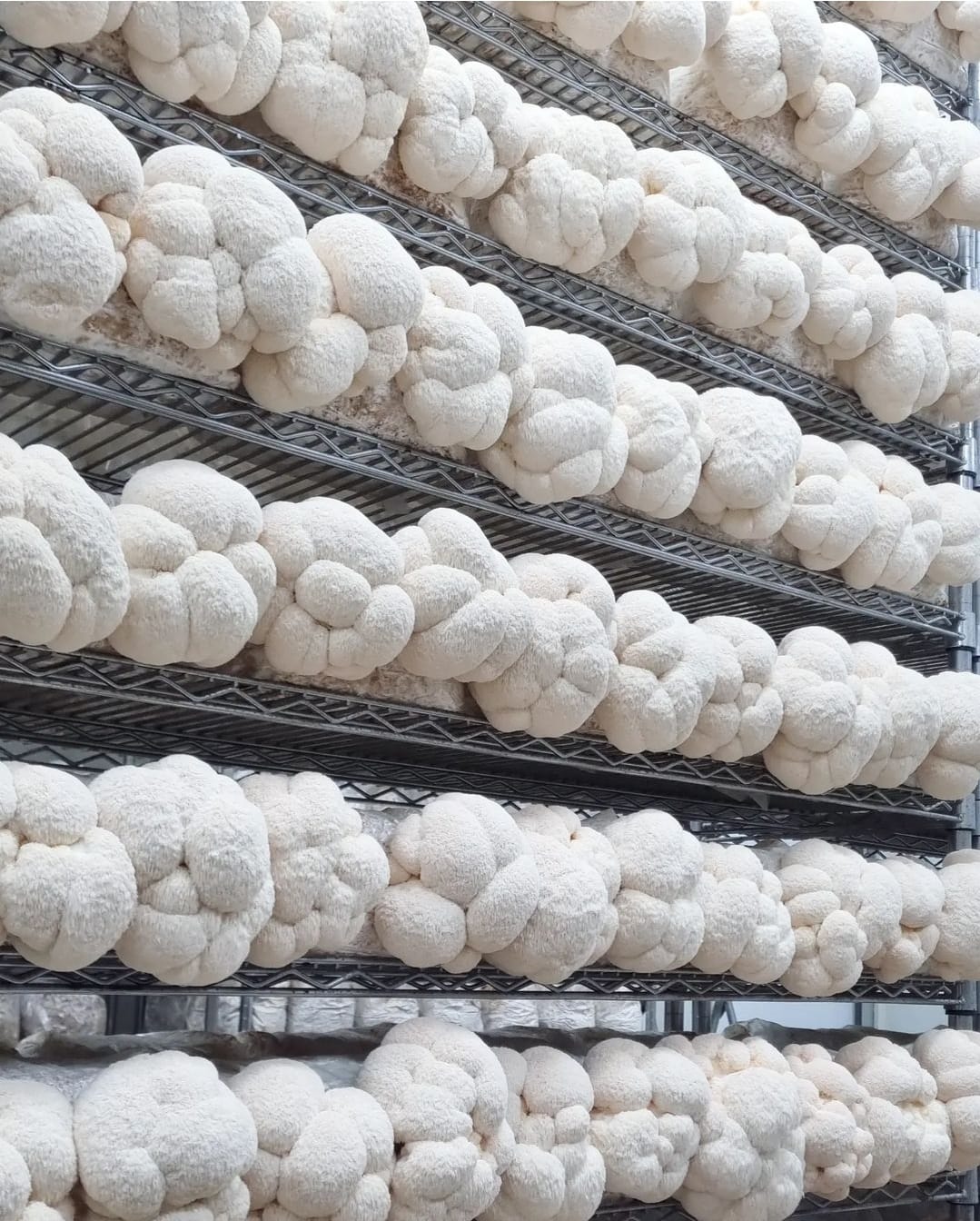 AM PERFORMANCE STACK