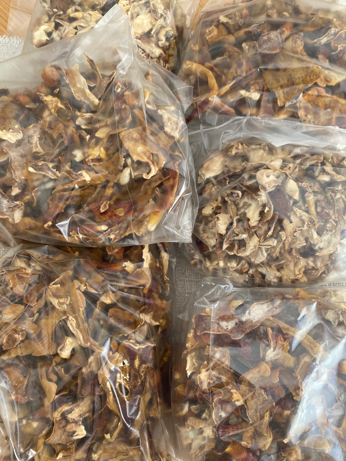 REISHI