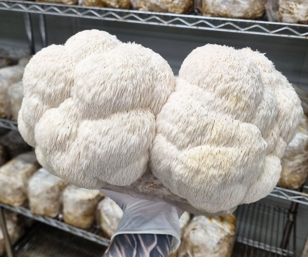 FULL STACK