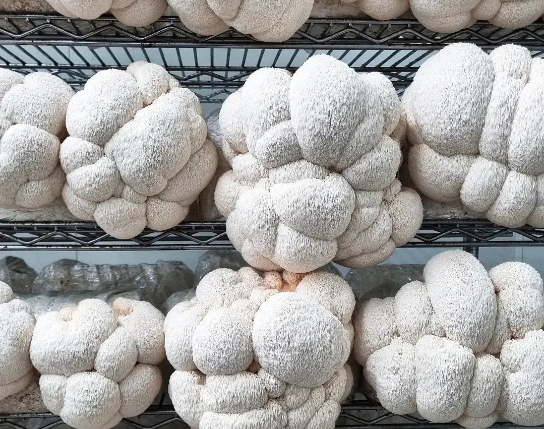 AM PERFORMANCE STACK