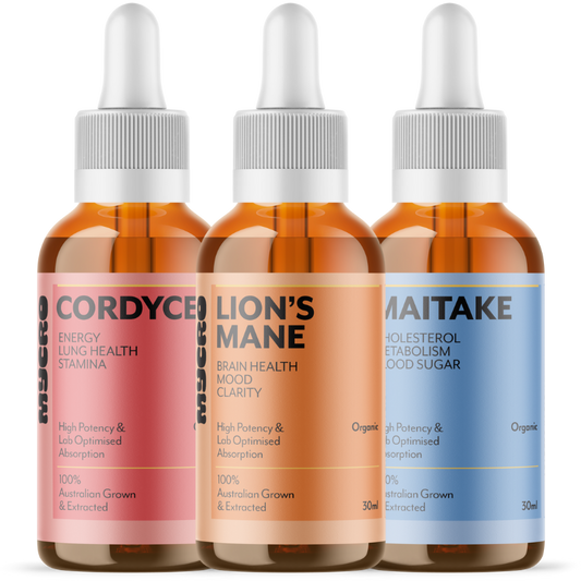 AM PERFORMANCE STACK