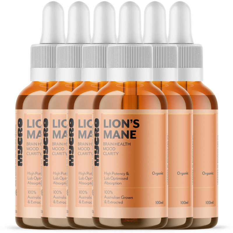 LION'S MANE SIX PACK