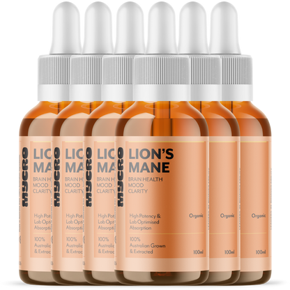 LION'S MANE SIX PACK