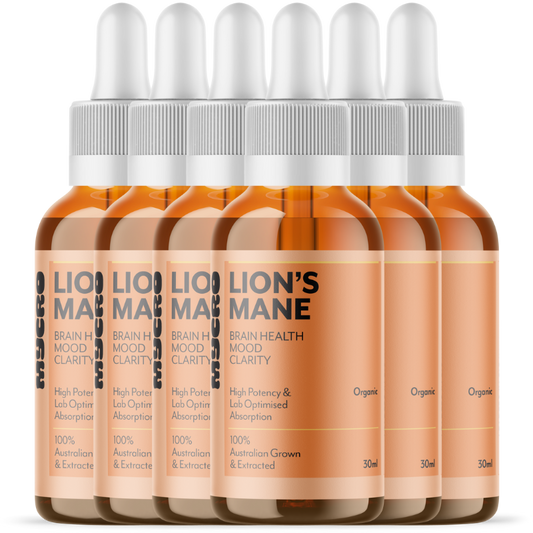 LION'S MANE SIX PACK