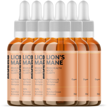 LION'S MANE SIX PACK